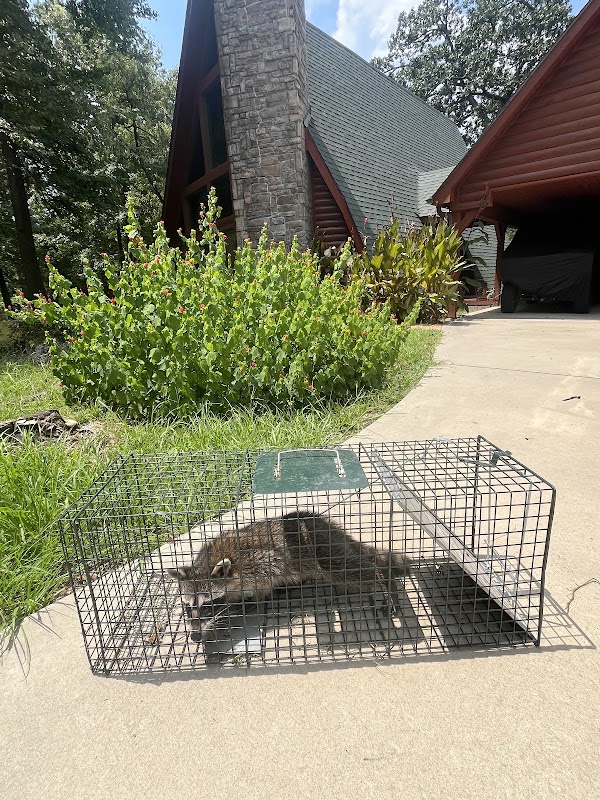 Gary's Termite & Pest Control Co. photo 1